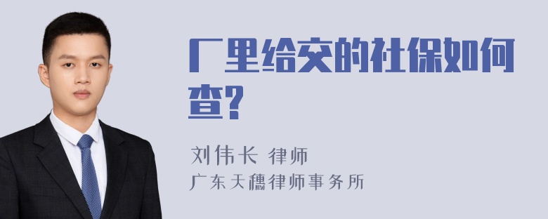 厂里给交的社保如何查?