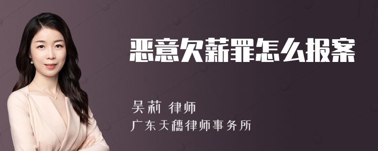 恶意欠薪罪怎么报案