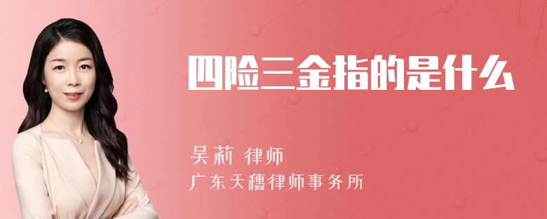 四险三金指的是什么