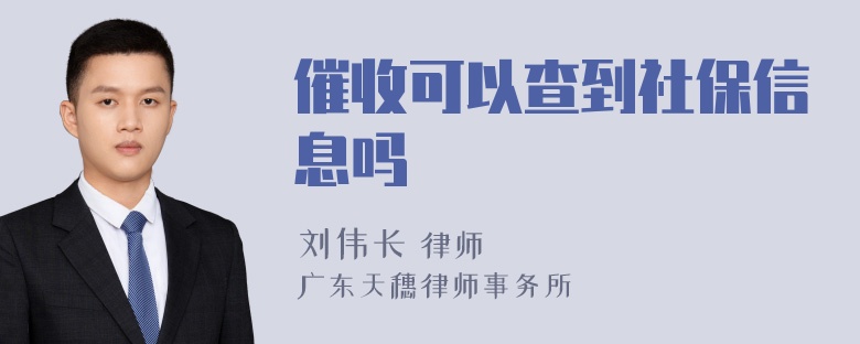 催收可以查到社保信息吗