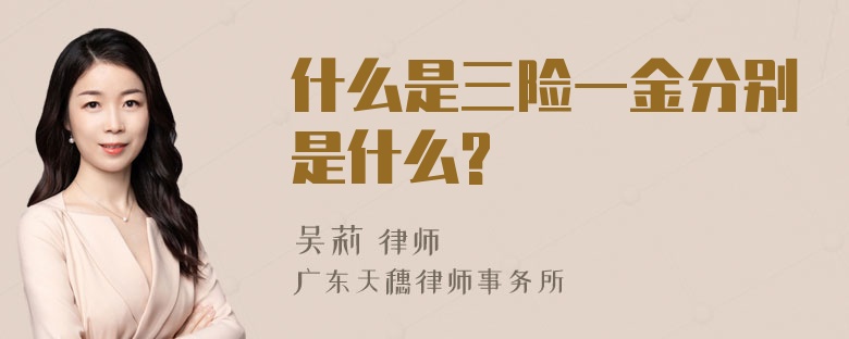 什么是三险一金分别是什么?