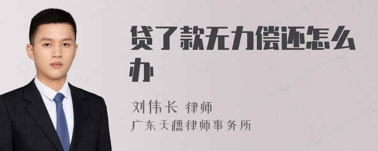 贷了款无力偿还怎么办