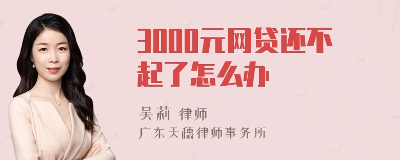 3000元网贷还不起了怎么办