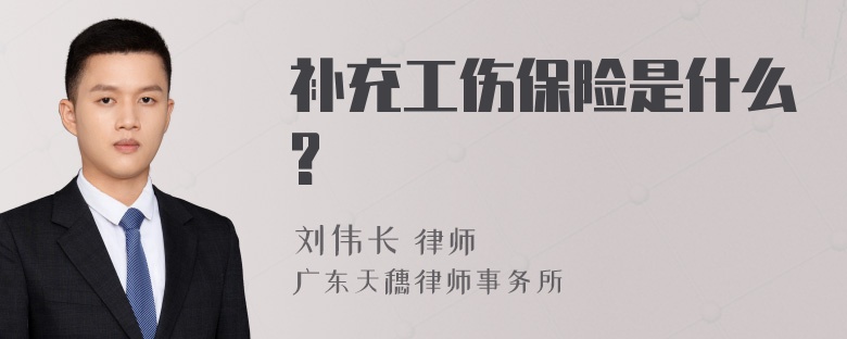 补充工伤保险是什么?