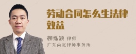 劳动合同怎么生法律效益