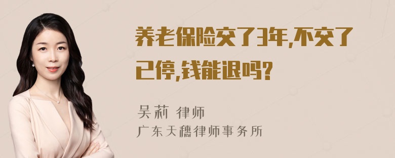 养老保险交了3年,不交了已停,钱能退吗?