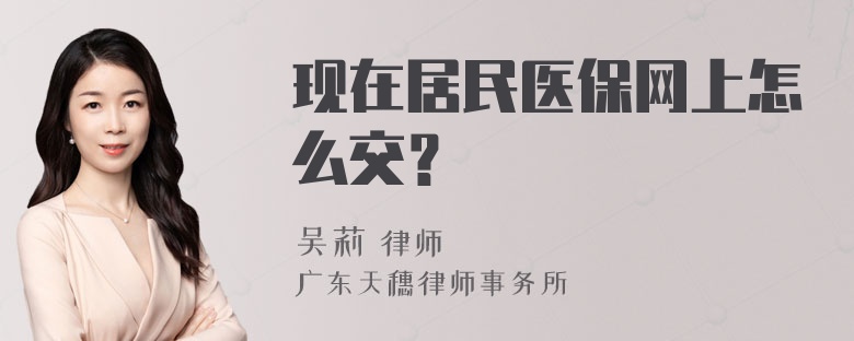 现在居民医保网上怎么交？