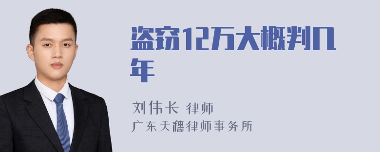 盗窃12万大概判几年