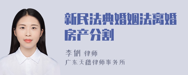 新民法典婚姻法离婚房产分割