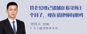 我老公现己逮捕在看守所3个月了，现在请律师有用吗