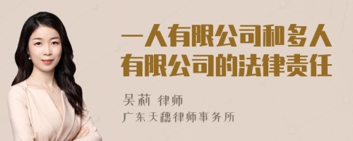 一人有限公司和多人有限公司的法律责任