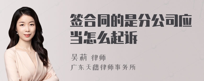 签合同的是分公司应当怎么起诉