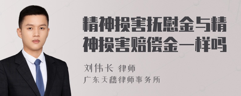 精神损害抚慰金与精神损害赔偿金一样吗