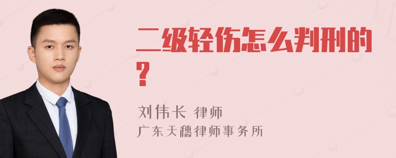 二级轻伤怎么判刑的?