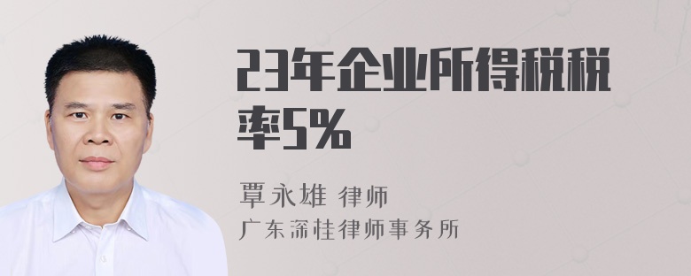 23年企业所得税税率5%