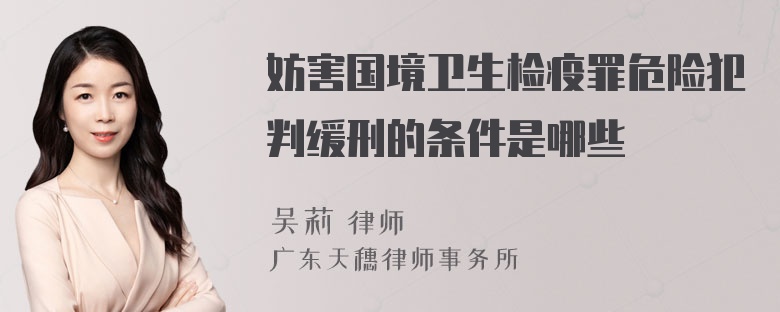 妨害国境卫生检疫罪危险犯判缓刑的条件是哪些