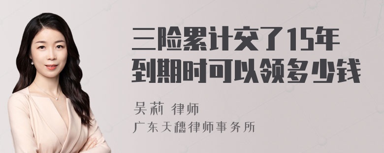 三险累计交了15年到期时可以领多少钱