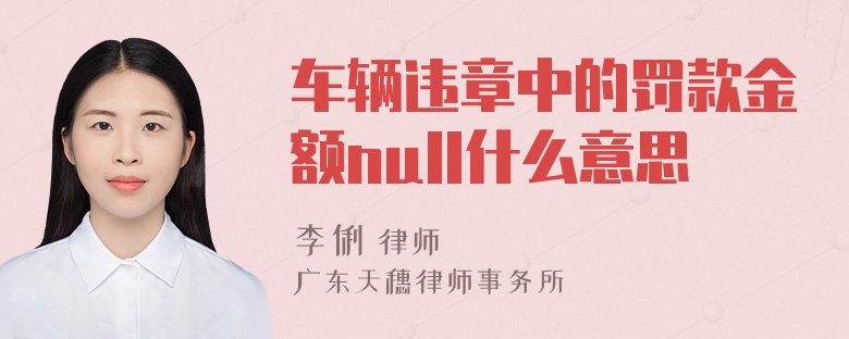 车辆违章中的罚款金额null什么意思