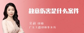 故意伤害是什么案件