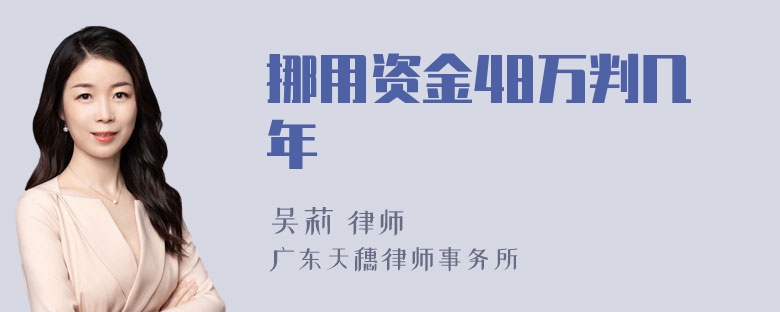 挪用资金48万判几年