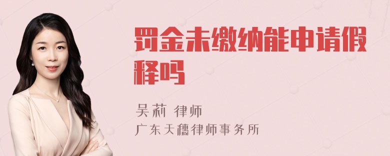 罚金未缴纳能申请假释吗