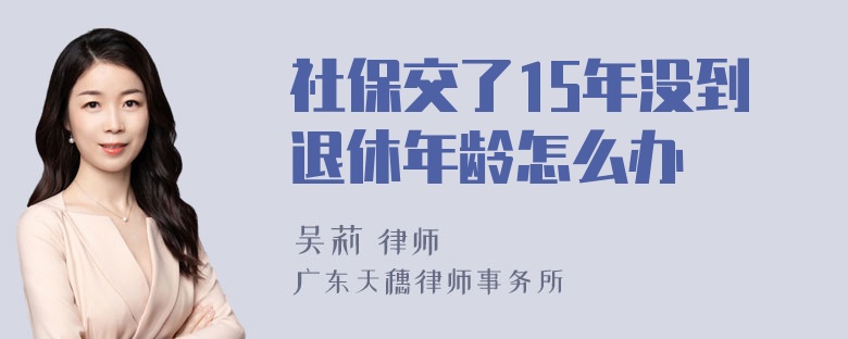 社保交了15年没到退休年龄怎么办