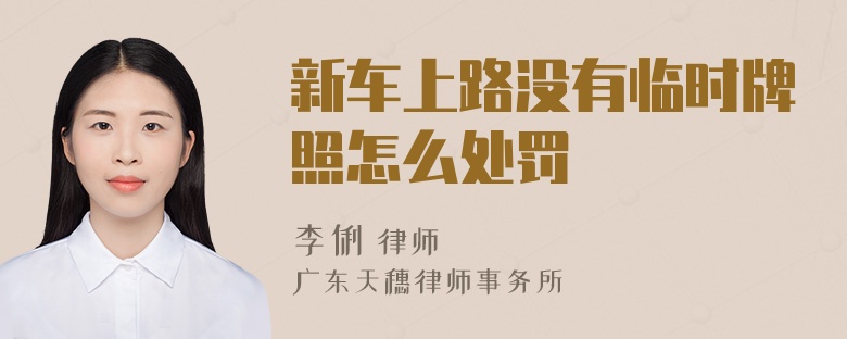 新车上路没有临时牌照怎么处罚