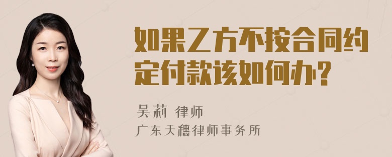 如果乙方不按合同约定付款该如何办?