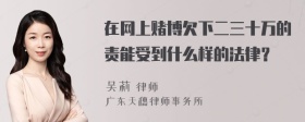 在网上赌博欠下二三十万的责能受到什么样的法律？