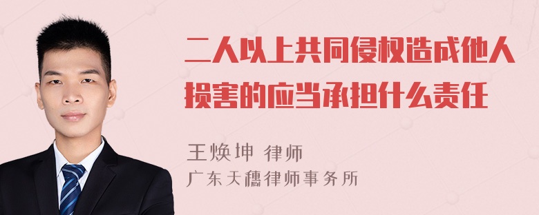 二人以上共同侵权造成他人损害的应当承担什么责任