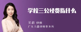 学校三公经费指什么