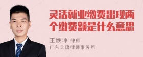 灵活就业缴费出现两个缴费额是什么意思