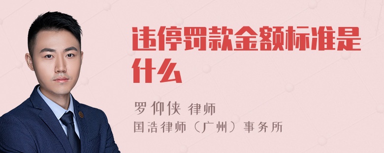 违停罚款金额标准是什么