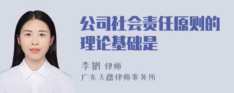 公司社会责任原则的理论基础是