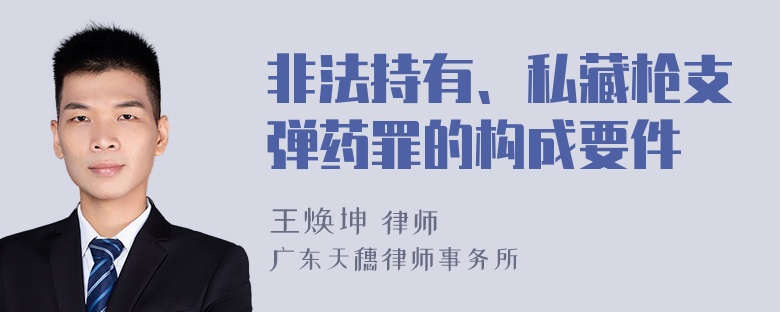 非法持有、私藏枪支弹药罪的构成要件