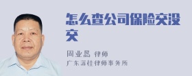 怎么查公司保险交没交