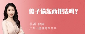 傻子偷东西犯法吗？