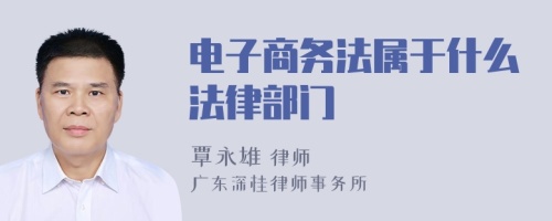 电子商务法属于什么法律部门