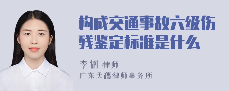 构成交通事故六级伤残鉴定标准是什么