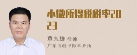 小微所得税税率2023