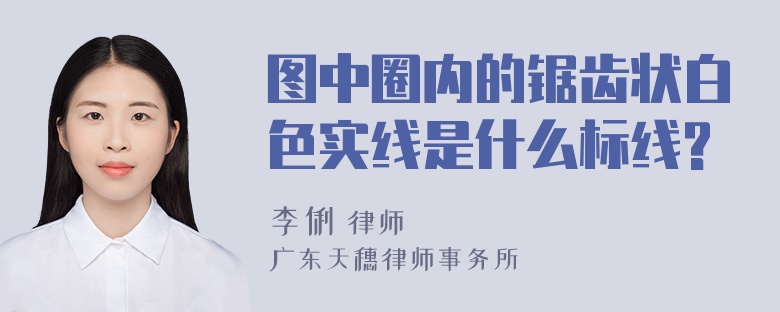 图中圈内的锯齿状白色实线是什么标线?