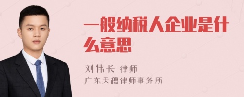 一般纳税人企业是什么意思