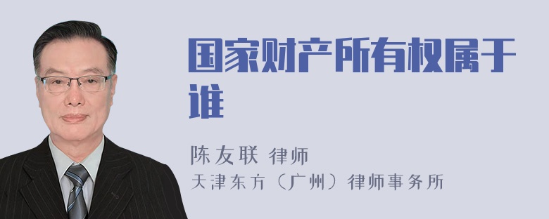 国家财产所有权属于谁