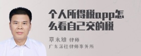 个人所得税app怎么看自己交的税