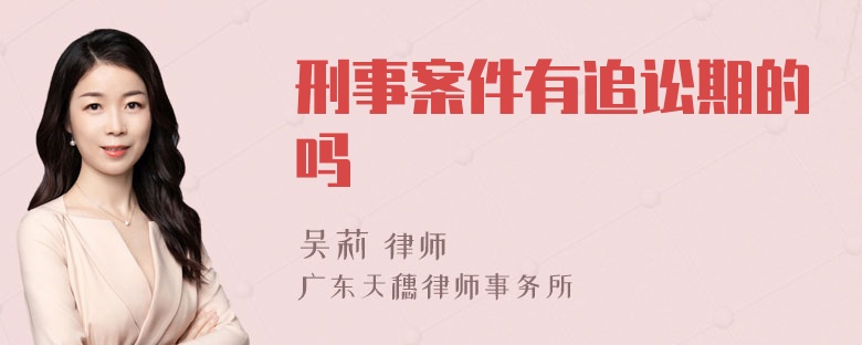 刑事案件有追讼期的吗