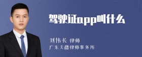 驾驶证app叫什么