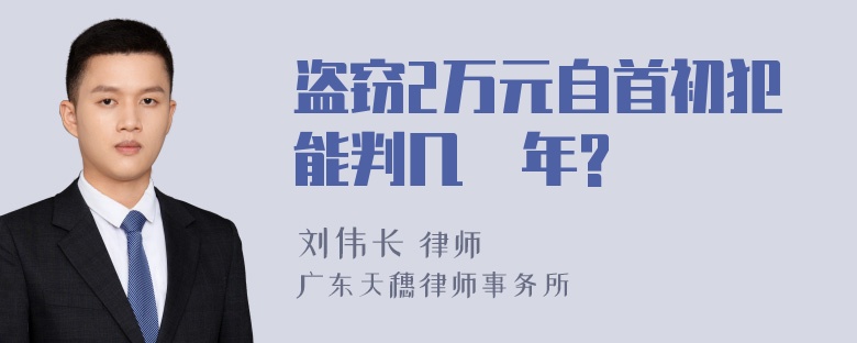 盗窃2万元自首初犯能判几
年?