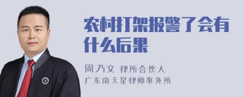 农村打架报警了会有什么后果