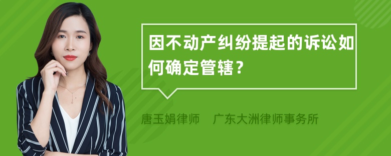 因不动产纠纷提起的诉讼如何确定管辖？