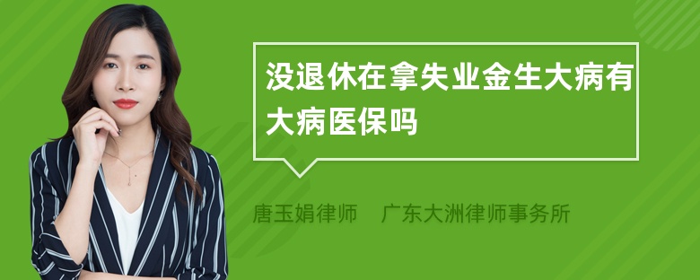 没退休在拿失业金生大病有大病医保吗